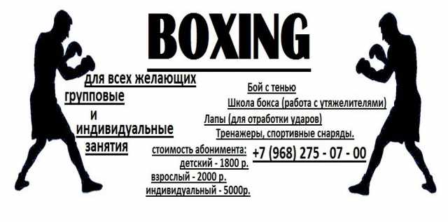 Предложение: Индивидуальное занятие по боксу