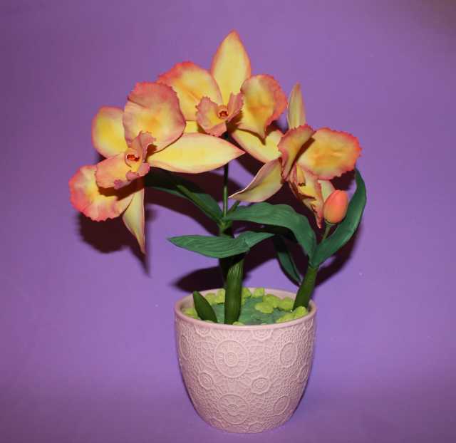 Продам: Орхидея Каттлея. Ручная работа. 