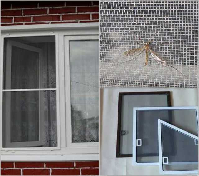 Предложение: Москитные сетки на окна и двери