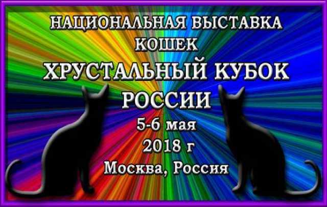 Продам: Национальная выставка кошек "Хрустальный