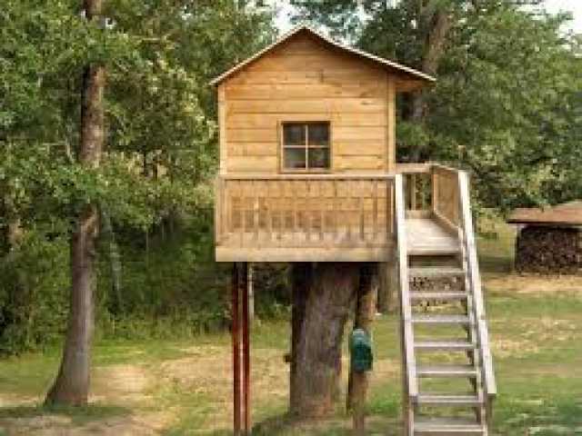 Предложение: Построю домик на дереве
