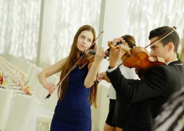 Предложение: Репетитор по игре на скрипке