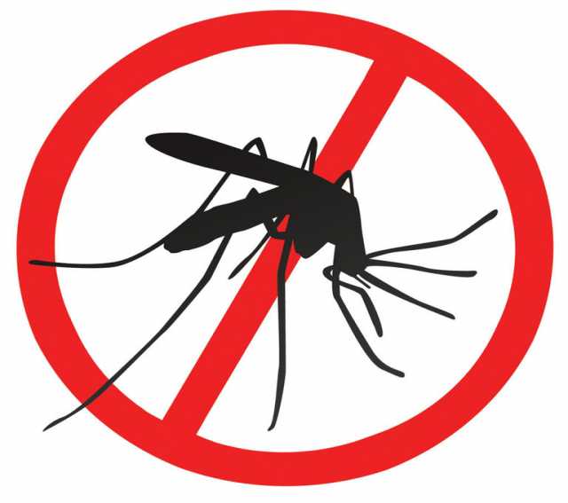 Предложение: Обработка от комаров САМАРА