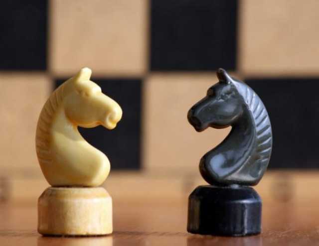 Предложение: Занятия по шахматам для дошкольников