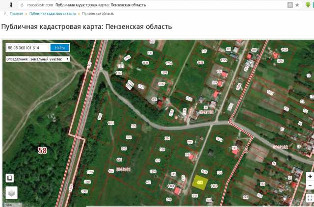 Кадастровая карта пензенской. Публичная кадастровая карта Пензенской области. Кадастровая карта Пензенской области. Чемодановка Пензенская область Спутник. Кадастровая карта Чемодановка Бессоновский.