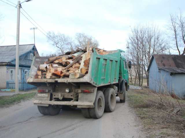 Предложение: Вывоз строительного мусора спецтехникой