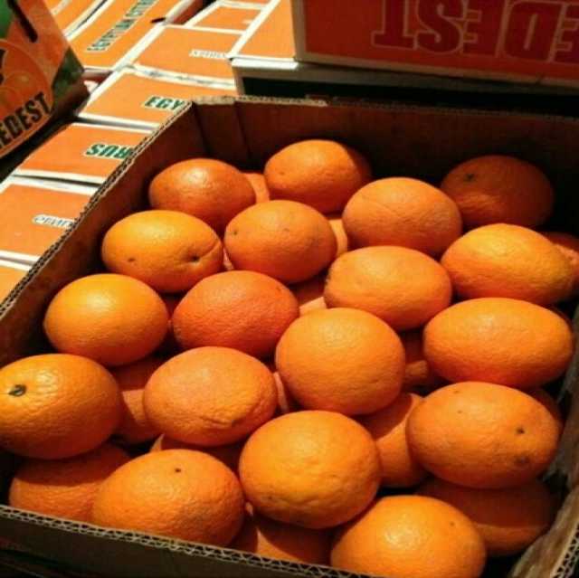 Продам: Апельсины оптом