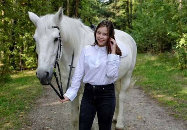 Предложение: Фотосессии с лошадьми