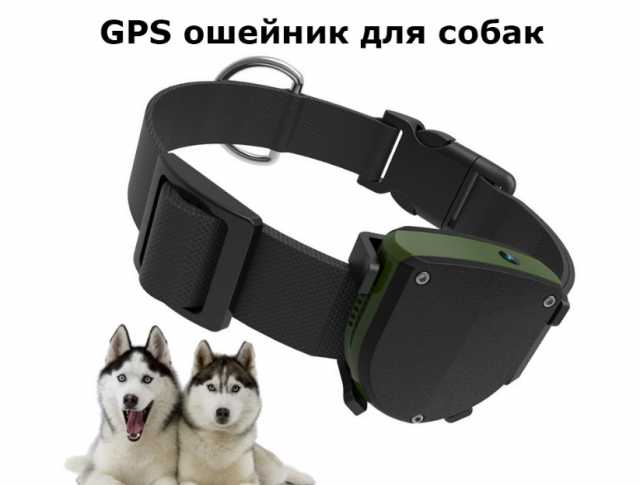Продам: Водонепроницаемый GPS ошейник для собак