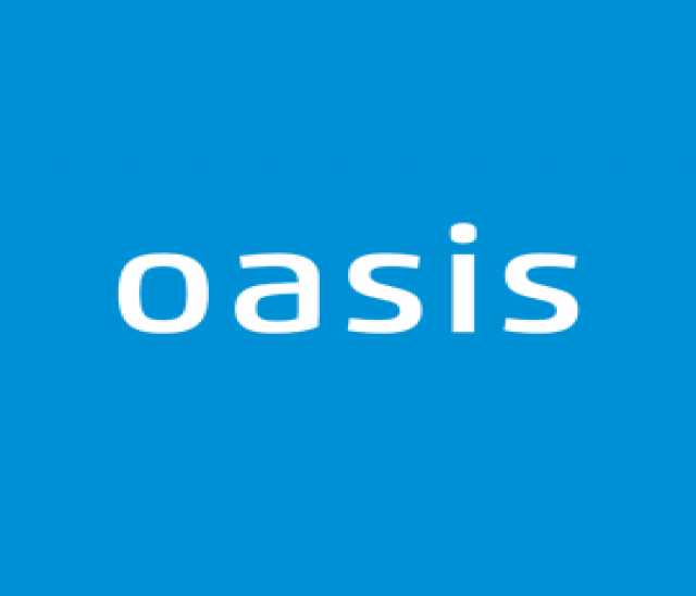 Предложение: Ремонт газовых колонок ОАЗИС (OASIS)