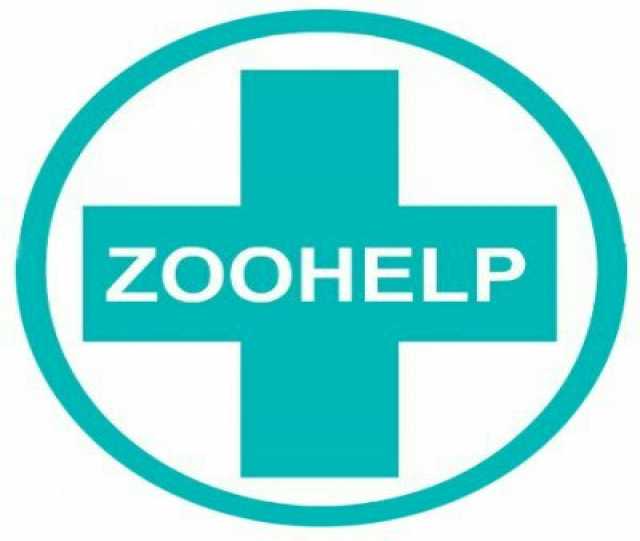 Предложение: Ветеринарный сервис Zoohelp