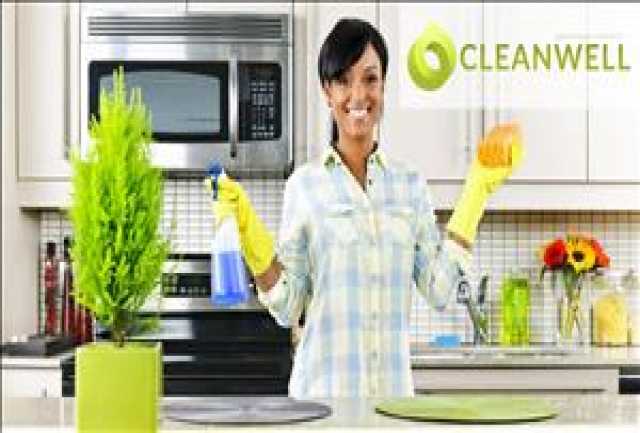 Предложение: CleanWell - онлайн сервис