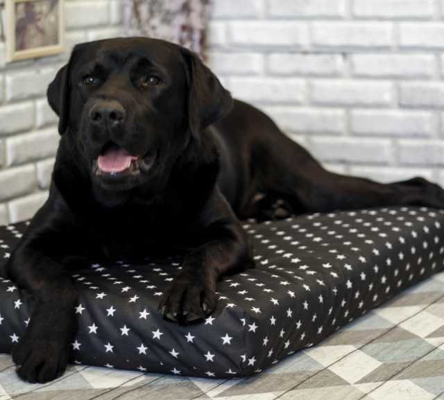 Продам: Лежак для собак - Чёрный с белыми звёзда