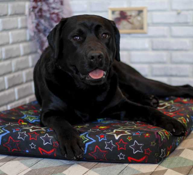 Продам: Лежак для собак - Чёрный с яркими звёзда