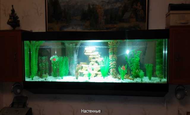 Предложение: Изготовление аквариумов