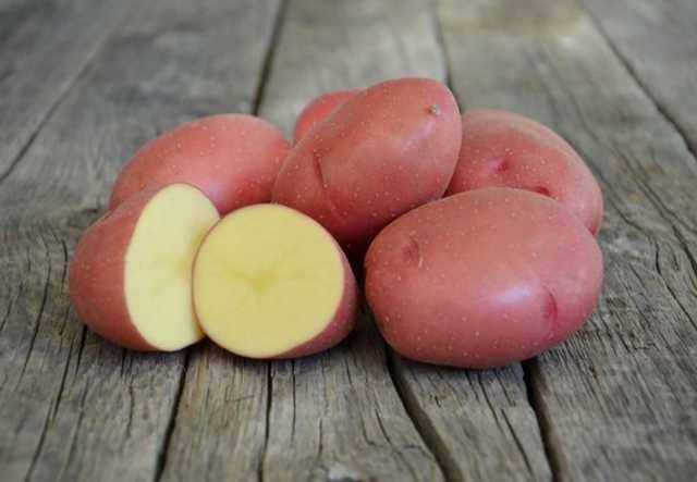 Продам: Картофель сорт Розара, калибр 5+ 