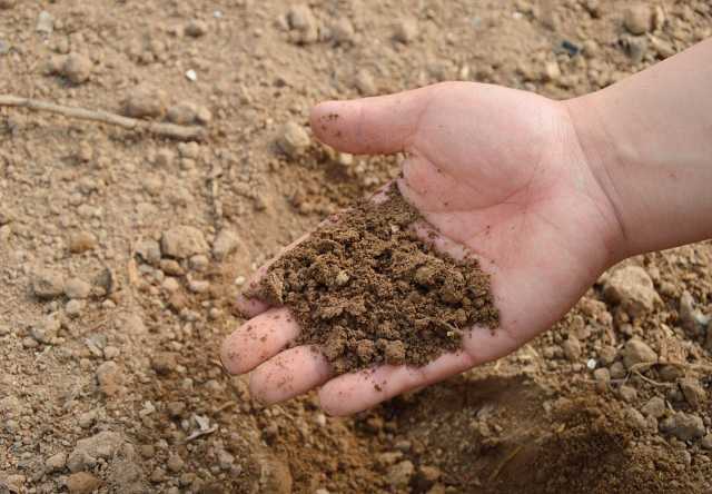 Предложение: Доставка щебень песок перегной  чернозем