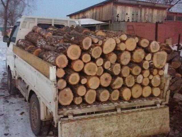 Продам: дрова чурками сосна