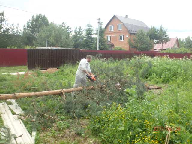 Предложение: Расчистка от бурелома в Щелково