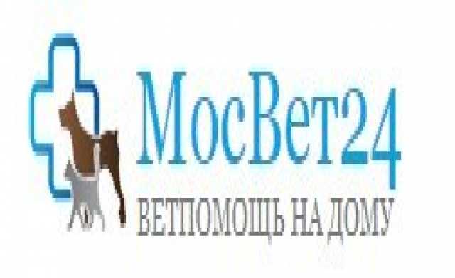 Предложение: Выезд ветеринара на дом в Москве 