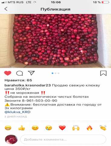 Продам: Клюква