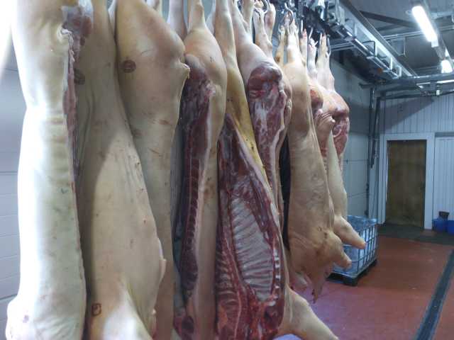 Продам: мясо свинины