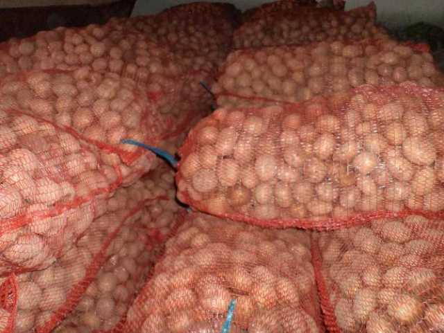 Продам: Отборный деревенский картофель доставка