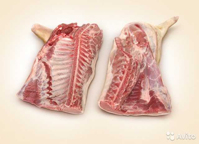 Продам: мясо свинина