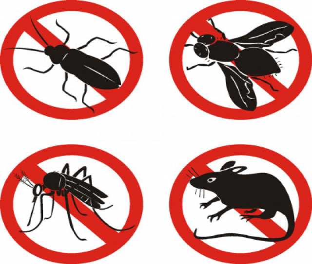Предложение: Уничтожение насекомых и грызунов