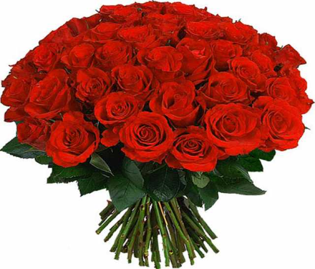 Продам: Букет цветов из роз