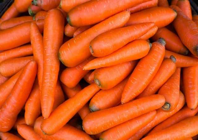 Продам: Морковь мытая оптом от 1 тн Москва