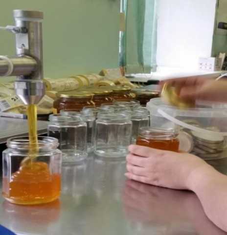 Требуется: Разнорабочие на производство мёда 