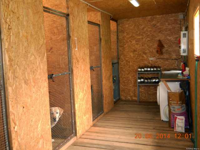 Предложение: Гостиница для собак в Краснодаре