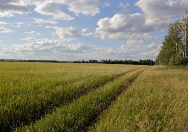 Продам: Продажа земли сельхоз назначения в Волос