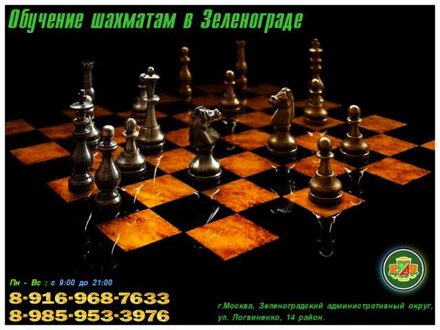 Предложение: Обучение, уроки игры в шахматы и шашки