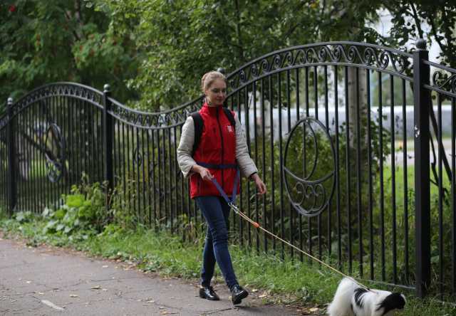 Предложение: Выгул собак в Москве - надежно и удобно