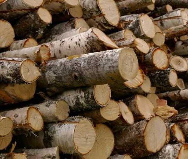 Продам: Продажа колотых дров и щипы с доставкой 
