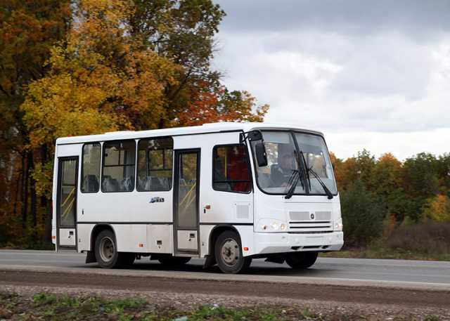 Спрос: Срочно нужны автобусы ПАЗ на 25-30 мест
