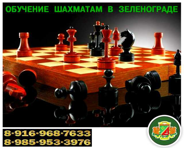 Предложение: Обучение шахматам и шашкам. Зеленоград.