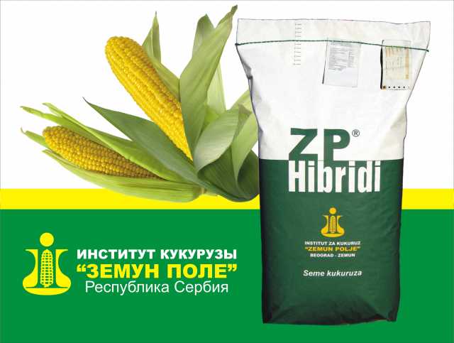 Продам: Семена гибридов кукурузы ЗПСК