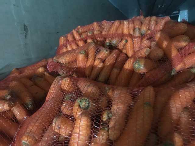 Продам: Морковь мытая фасовка 30кг (сетка).