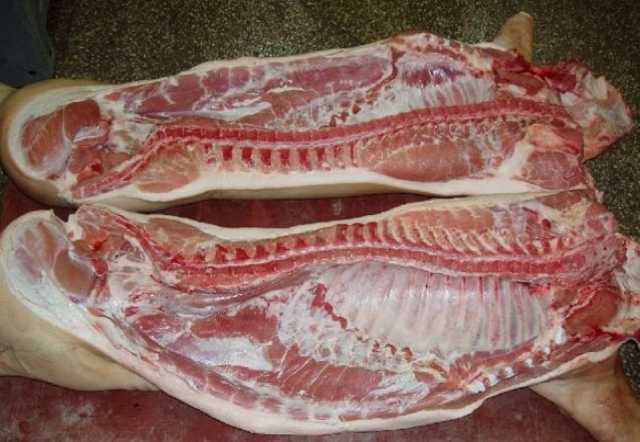 Продам: Мясо свинина говядина
