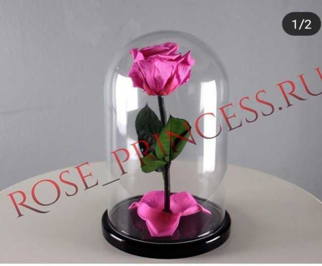 Продам: Свежая роза в колбе. Разных оттенков
