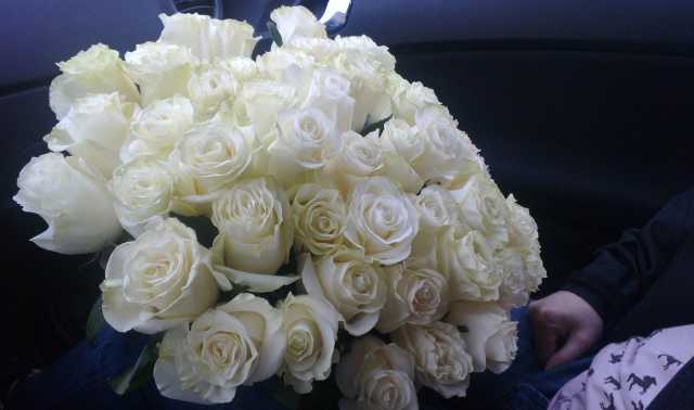 Продам: 25 белых роз в букете на 8 марта