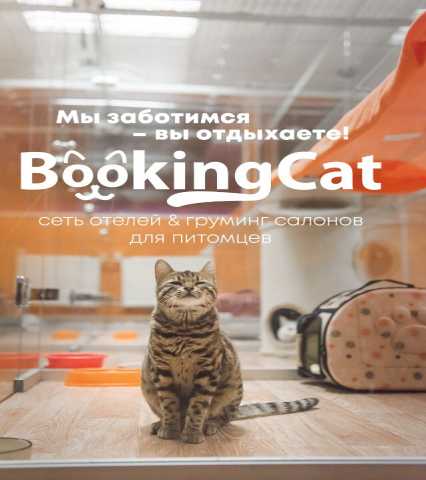 Предложение: Отель для домашних животных Bookingcat