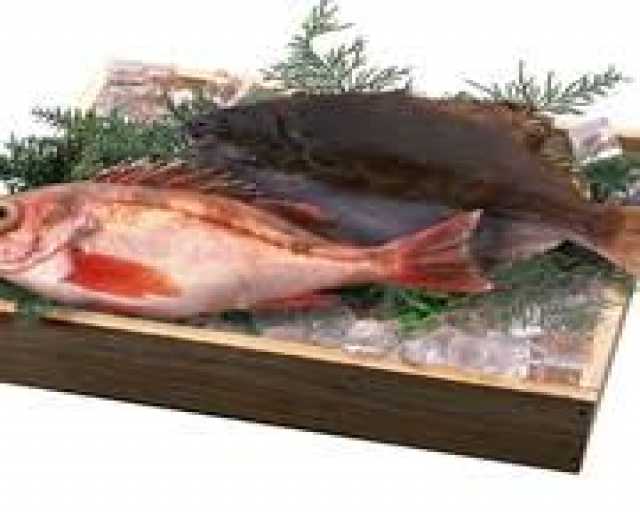 Продам: Свежемороженая рыба