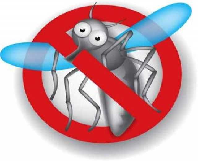 Предложение: Уничтожение комаров