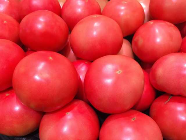 Продам: Розовые томаты оптом