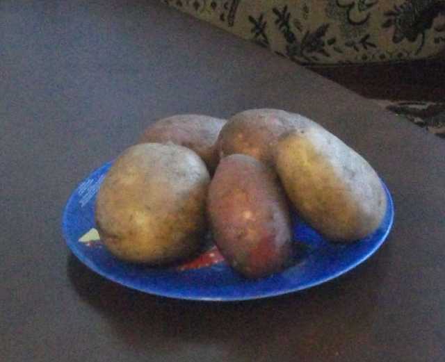Продам: Местный деревенский картофель с бесплатн
