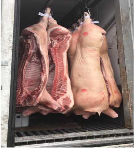 Продам: Мясо свинина в полутушах оптом